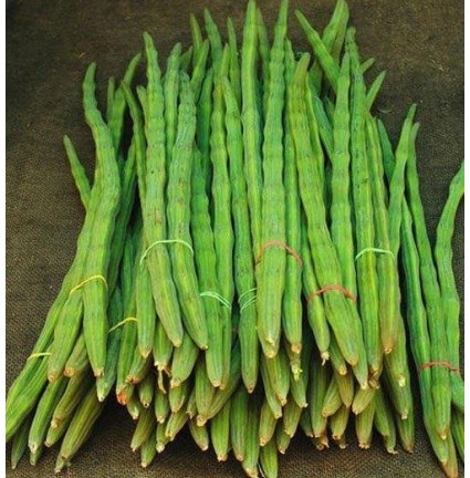 Fresh Drumstick (Moringa Pods)
