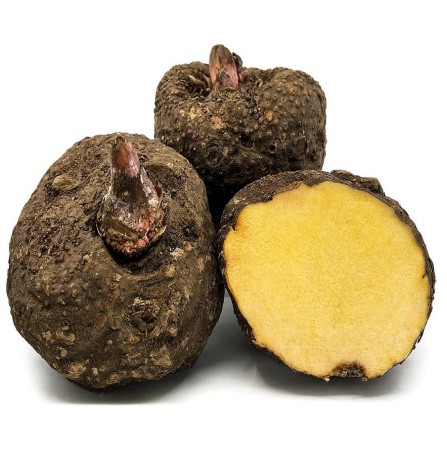 Fresh Elephant Yam (Suran)