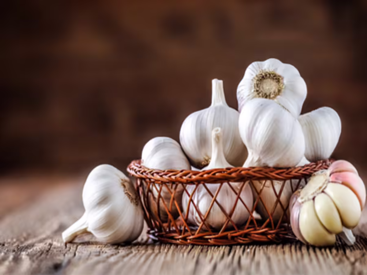 Farm Fresh Garlic