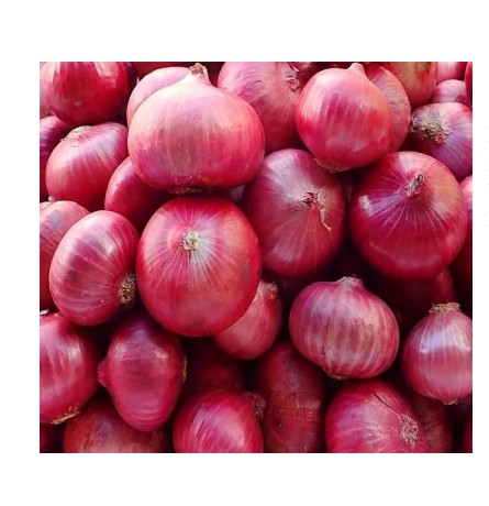 Fresh Red Onions