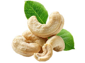 Cashew Nuts