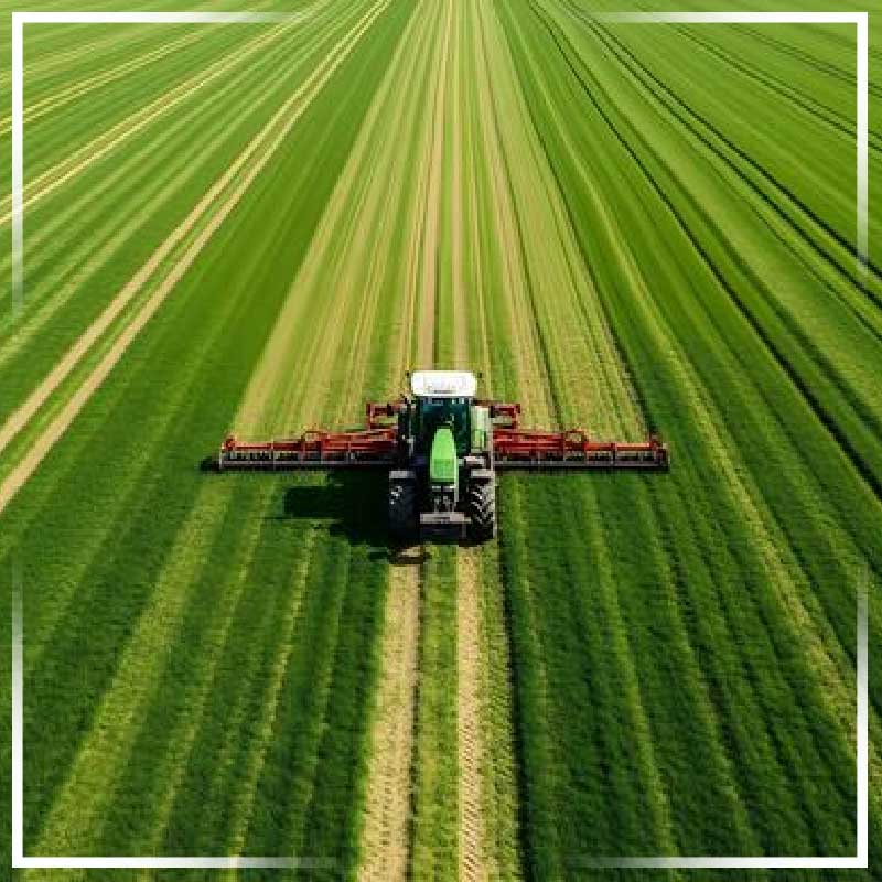 Image Not Found